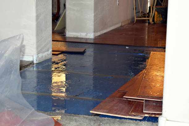 Professional Burst Pipe Cleanup technician working in Remington, VA